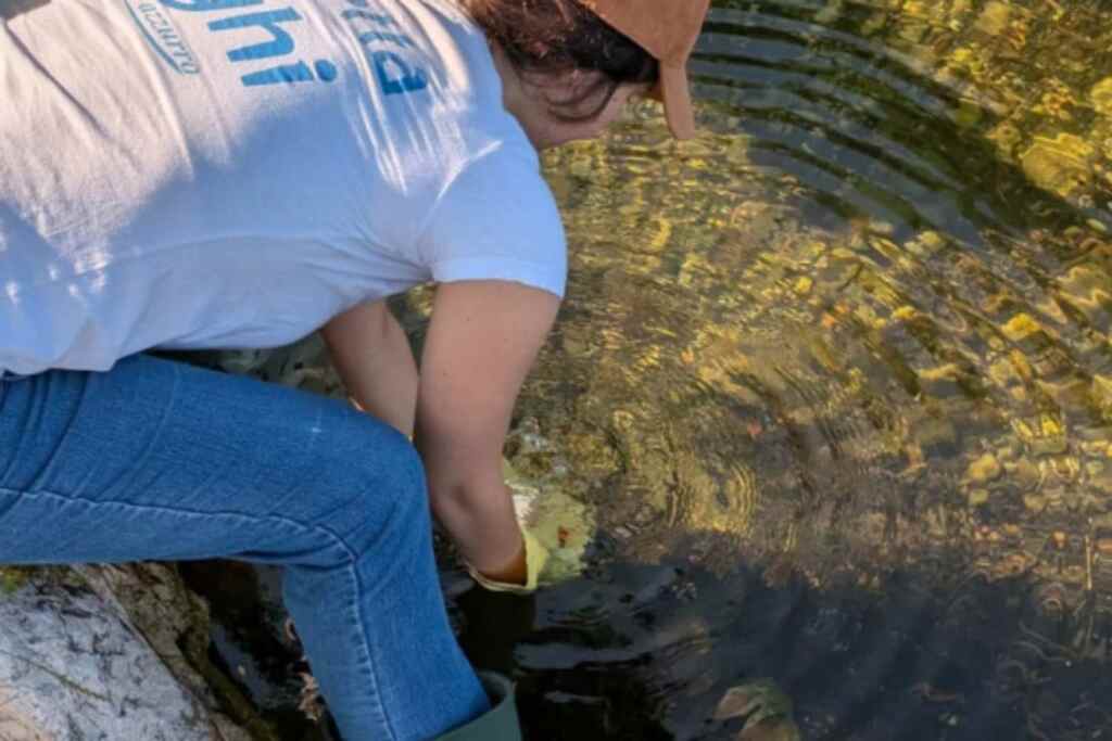 Lacs lombard pollués