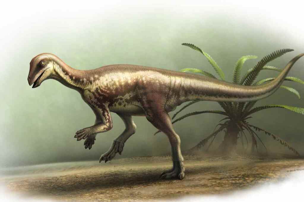 Énigmeur