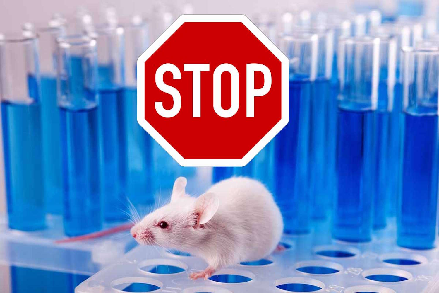 sperimentazione animali