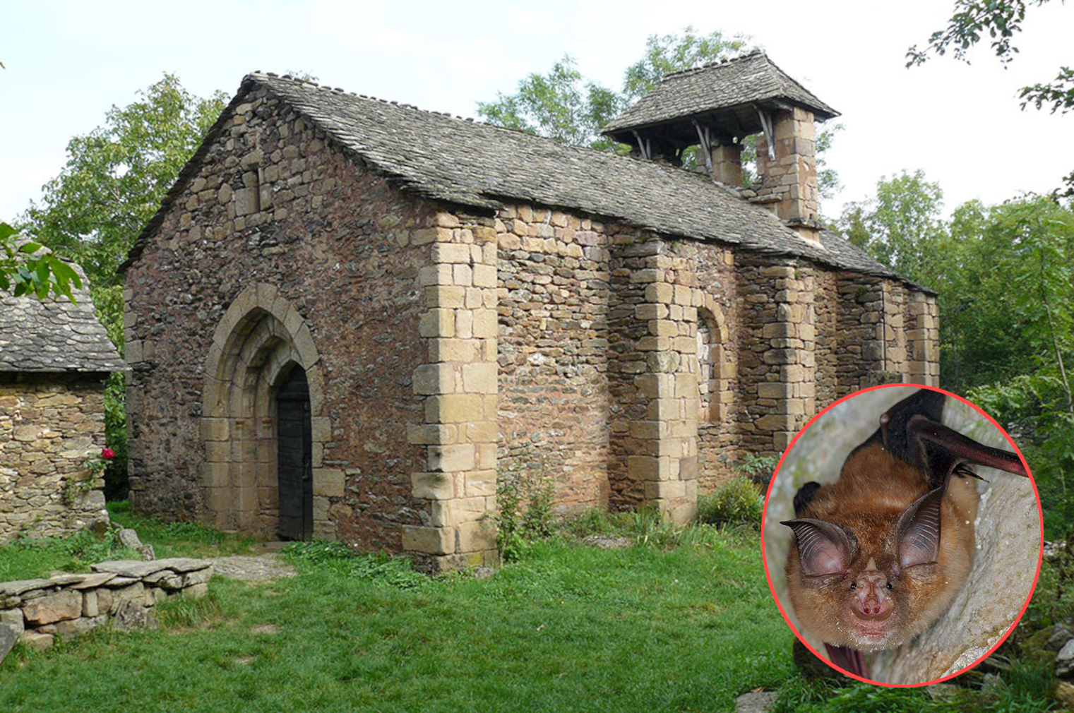 Chiesa chiusa pipistrelli 2