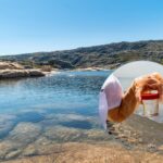 Eaux italiennes contaminées par le glyphosate, le mercure et les PFAS : l'alarme dans le nouveau rapport de l'Istat