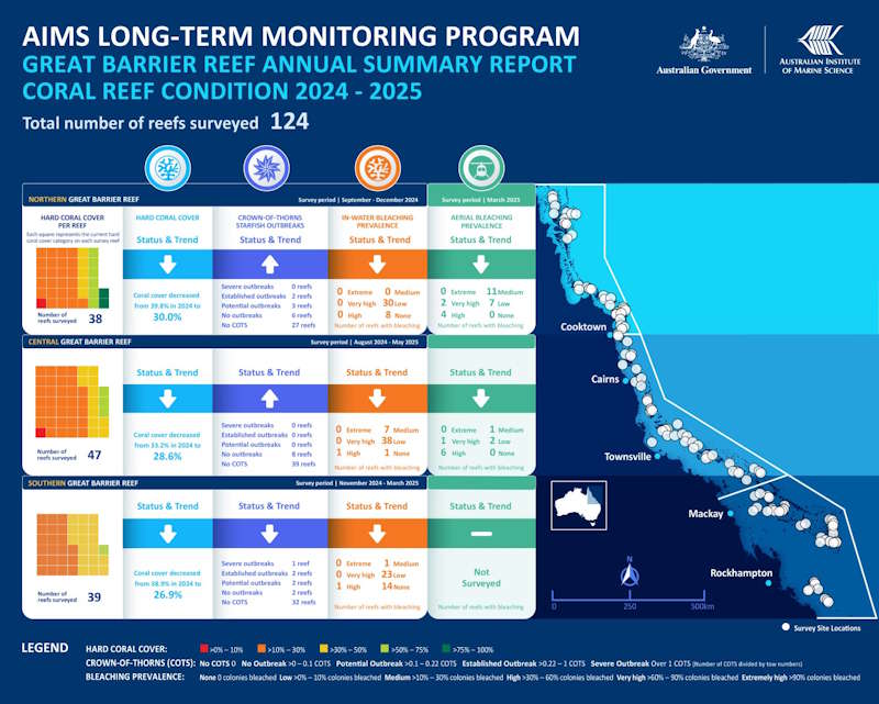 blanchiment des coraux