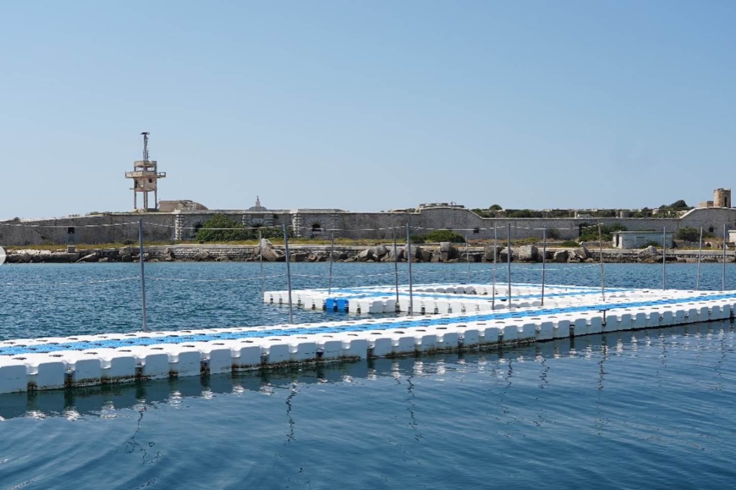 Delfini Taranto