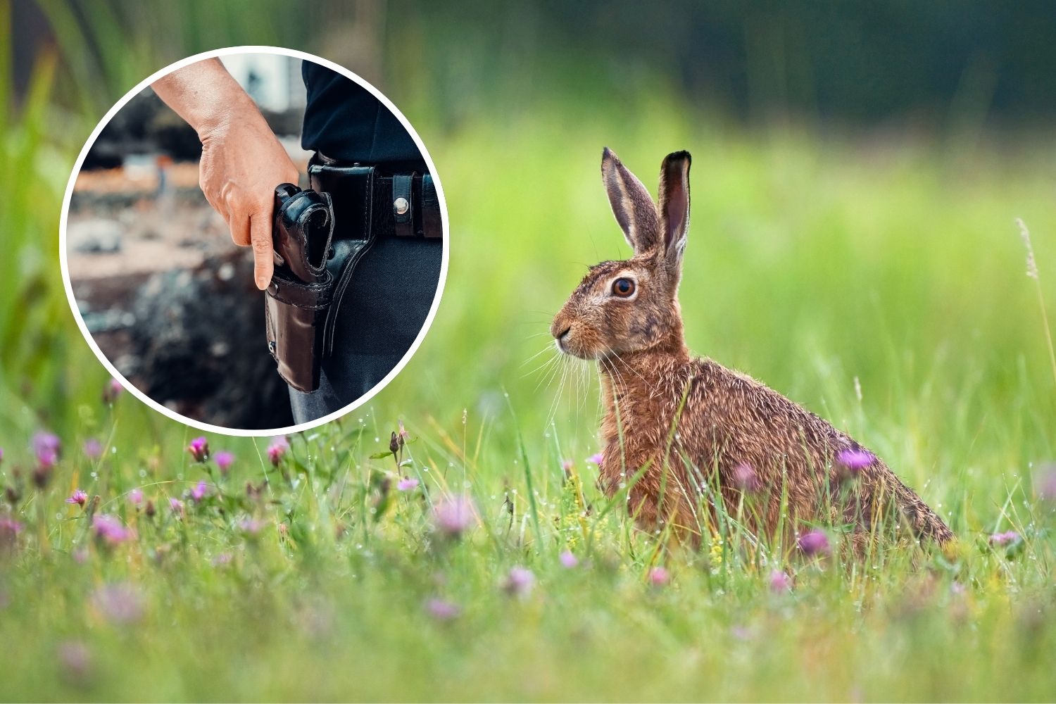 lepri e nutrie uccise