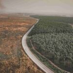 Amazonie, la déforestation s'effondre à des niveaux historiquement bas : -36% en un an seulement (et Lula ambitionne de l'éliminer)
