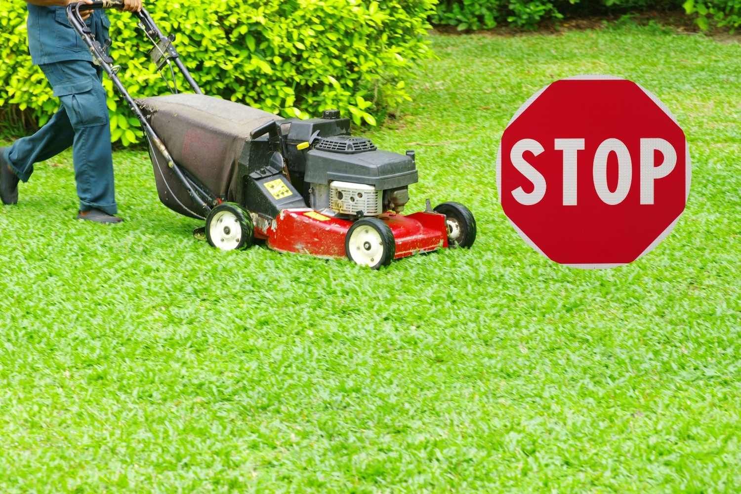 Pas de coupe de prato