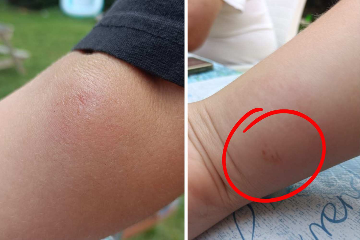 Simulide Black Moscou Mite