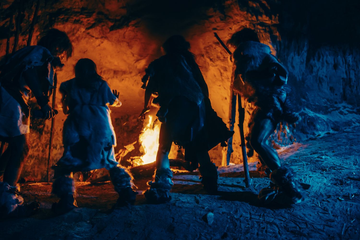 neanderthal conformaizone cranio facciale perchè
