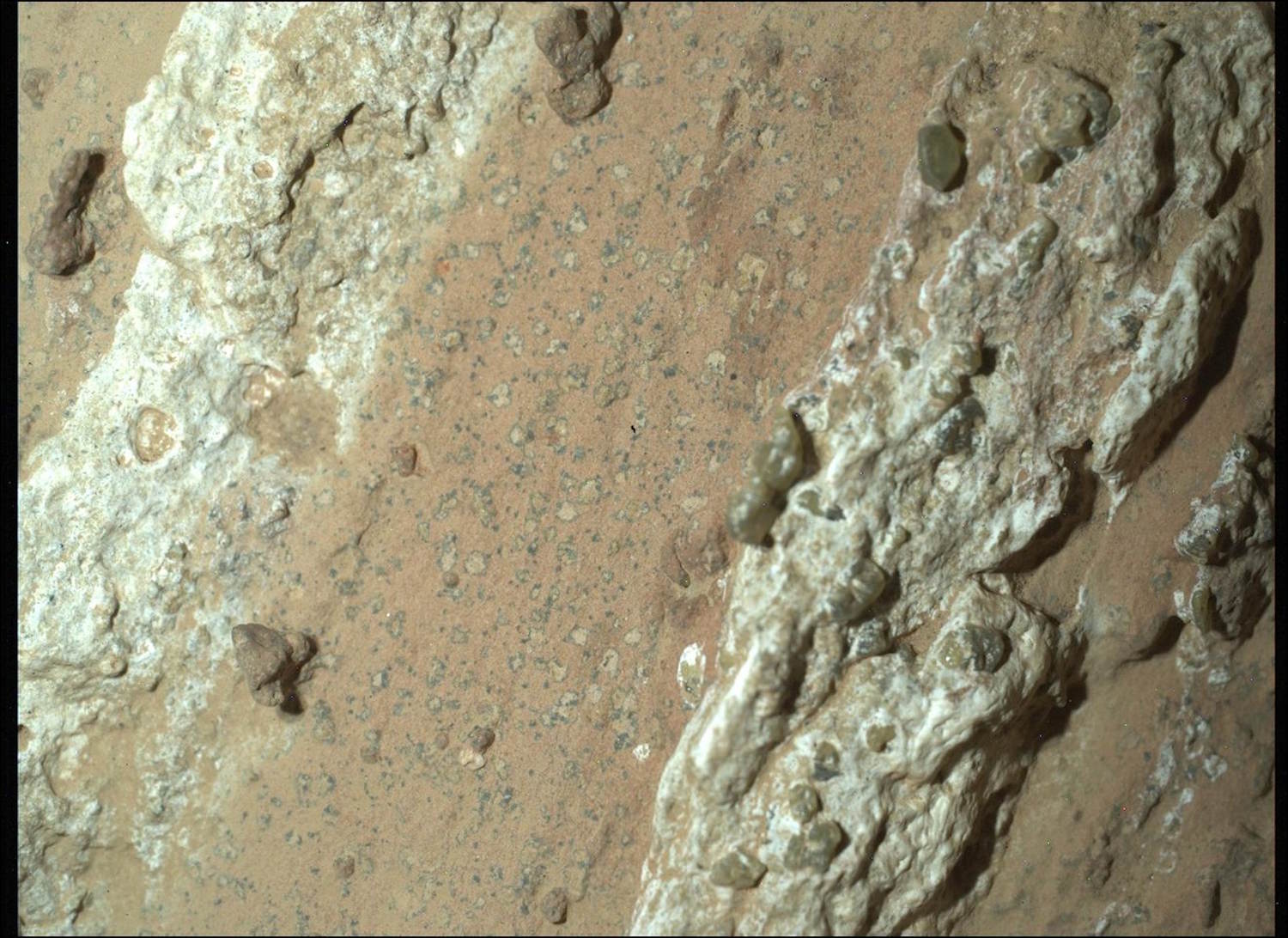 La vie sur Mars a découvert la NASA