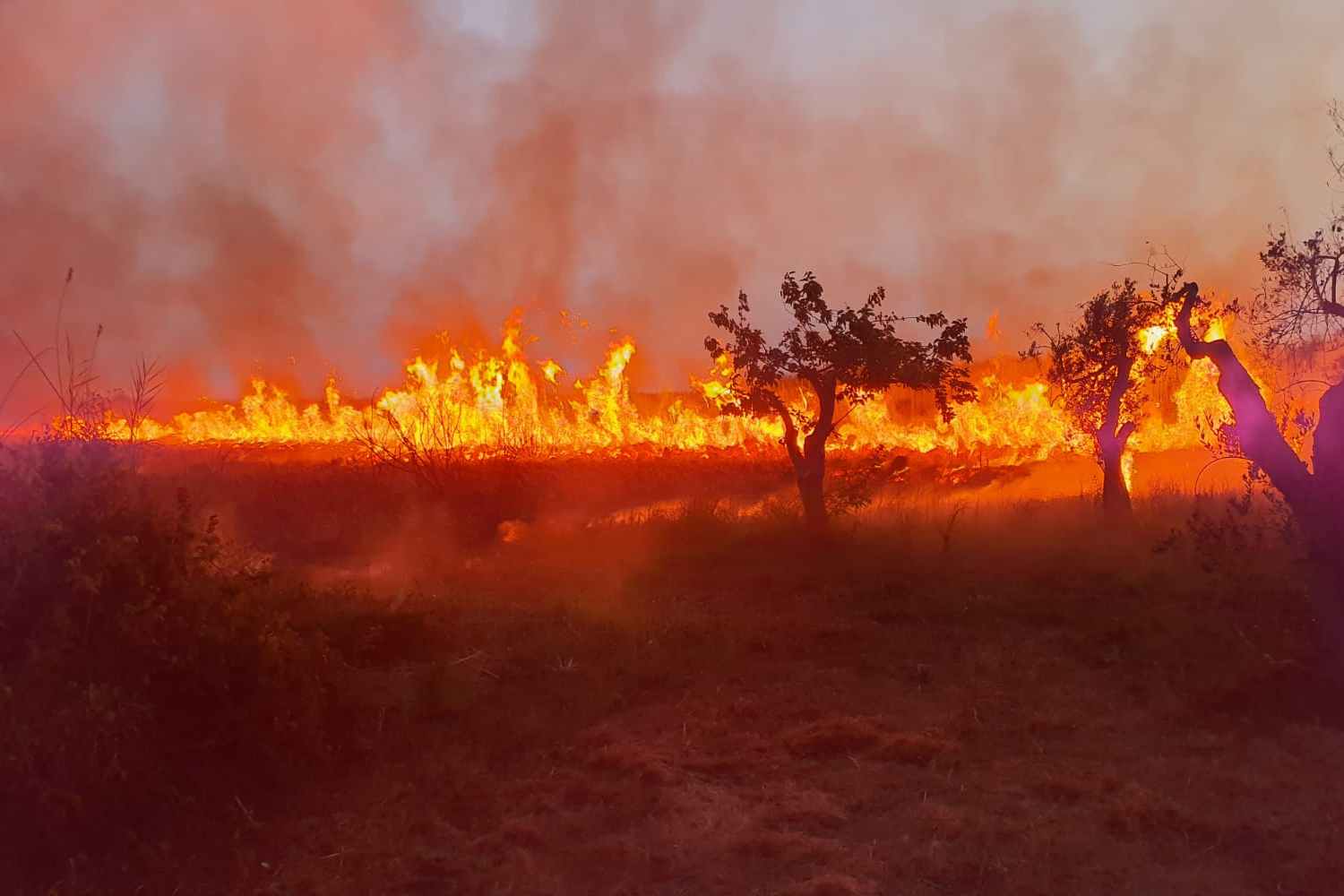 incendie