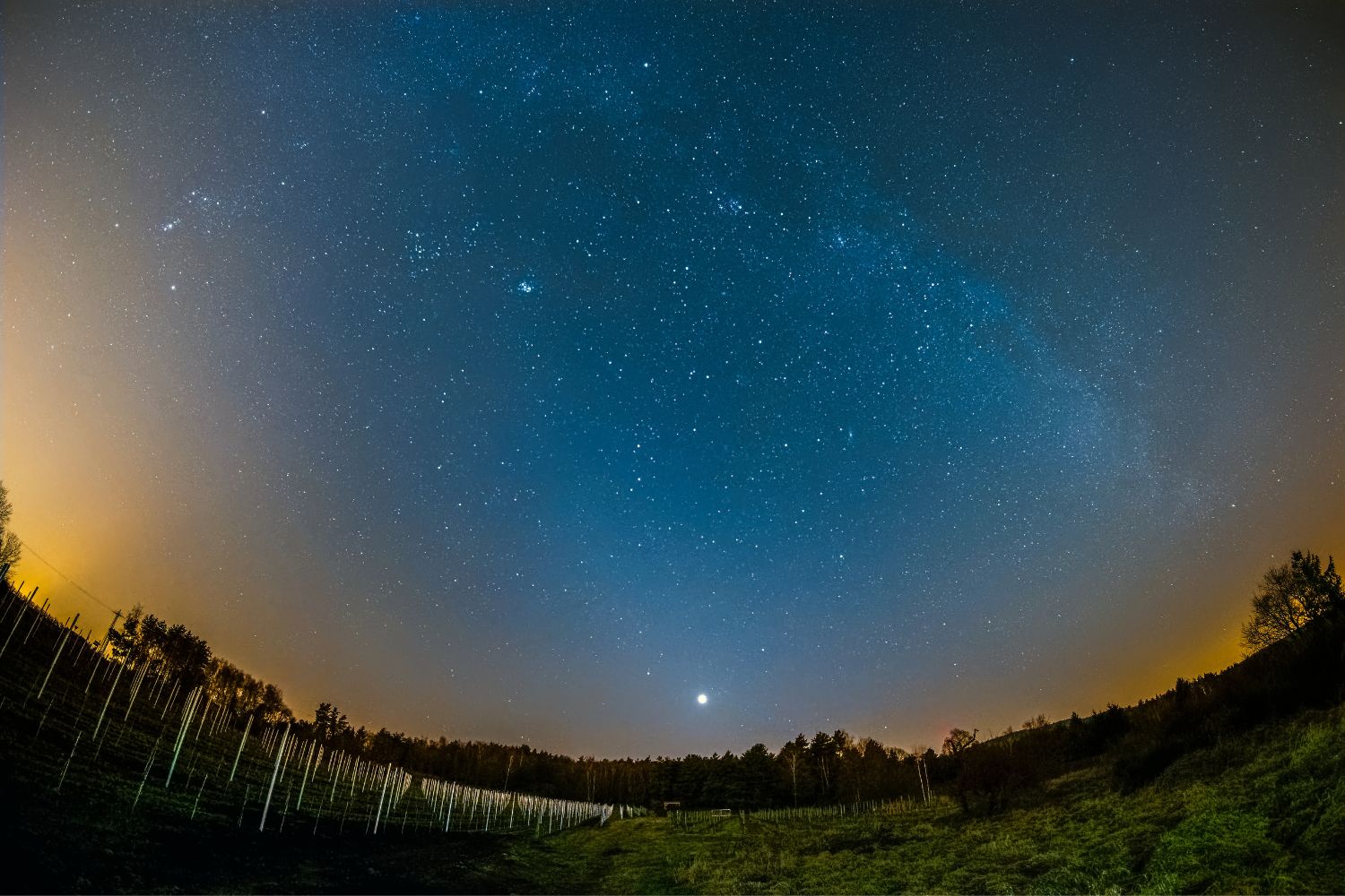 bacio luna venere alba