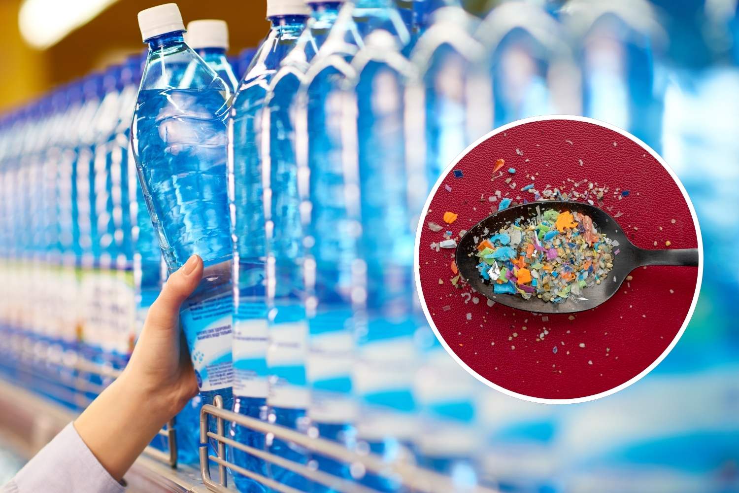 acqua microplastiche