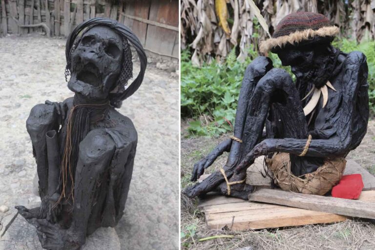 Les plus anciennes momies du monde sont découvertes: bien avant que les Égyptiens ne soient fumés (et réécrivez l'histoire de l'enterrement)