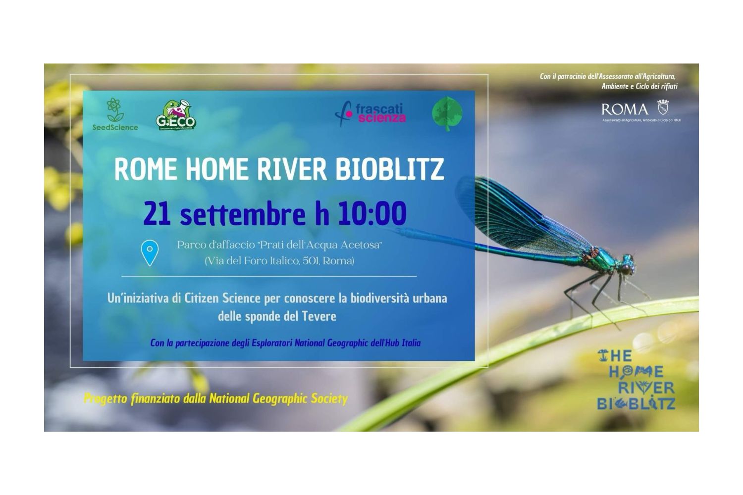 Science et nature au sein de l'application: le bioblitz qui transforme les citoyens en chercheurs
