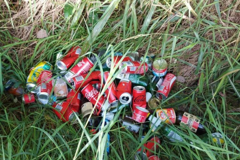 De Moretti à Coca-Cola, de San Benedetto à Red Bull: les 10 marques de boissons qui sont le plus souvent dispersées dans l'environnement