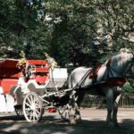 Victoire! Philadelphie interdit les calèches (alors qu'un accident mortel secoue New York)