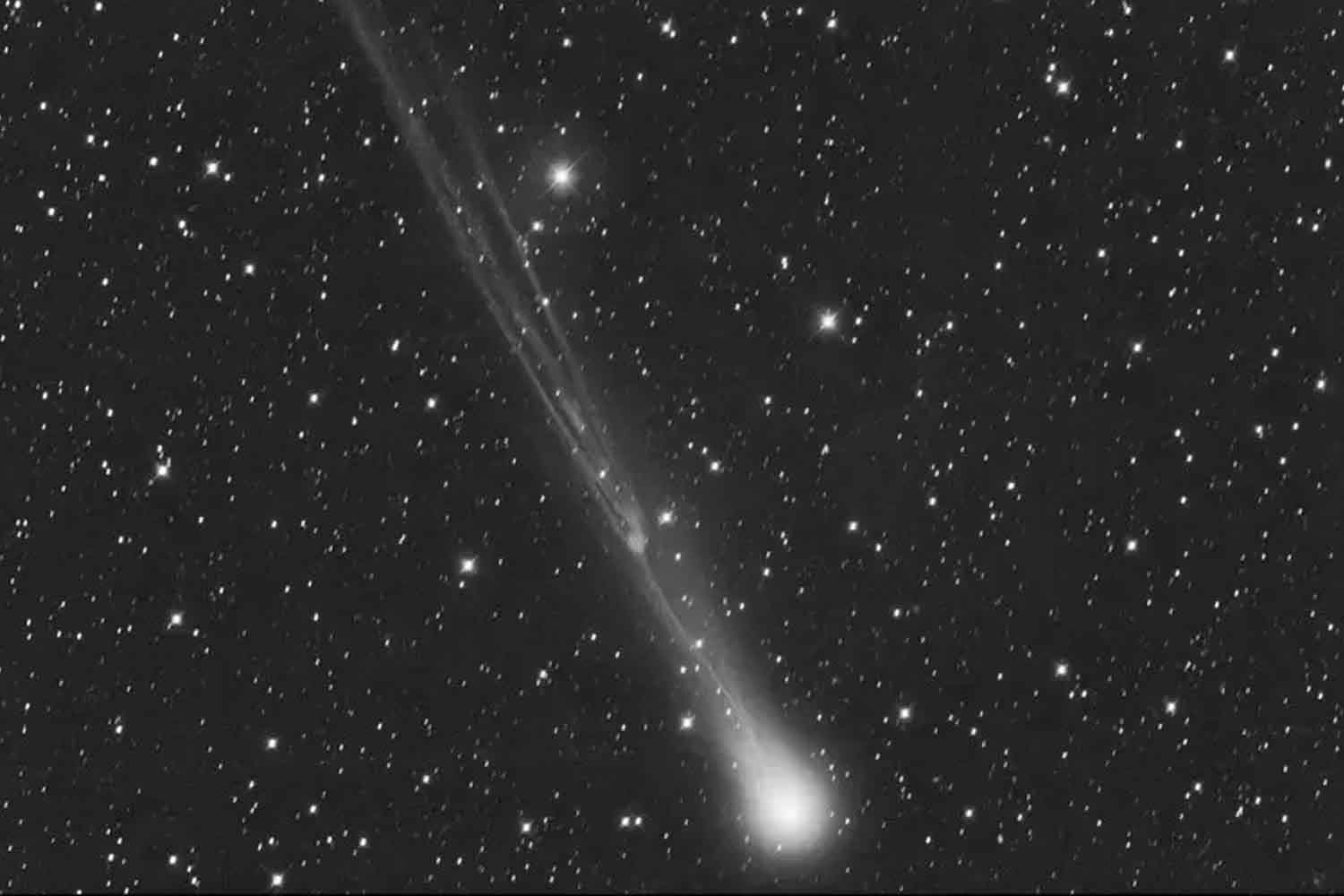 Cometa C 2025 A6 Lemmon - Gianluca Masi, The Virtual Telescope Project