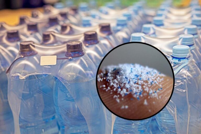 Savez-vous combien de microplastiques ingérez-vous chaque année, buvant de l'eau minérale dans la bouteille? Beaucoup plus que des images