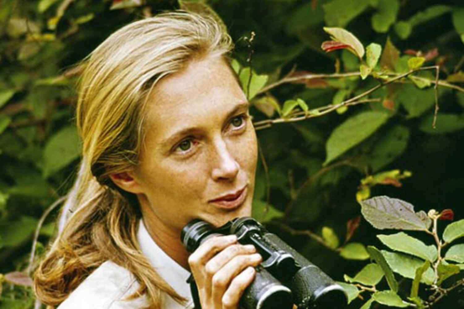 Jane_Goodall