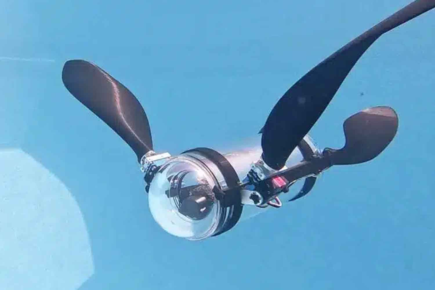 Tartaruga Robot Evan Budz