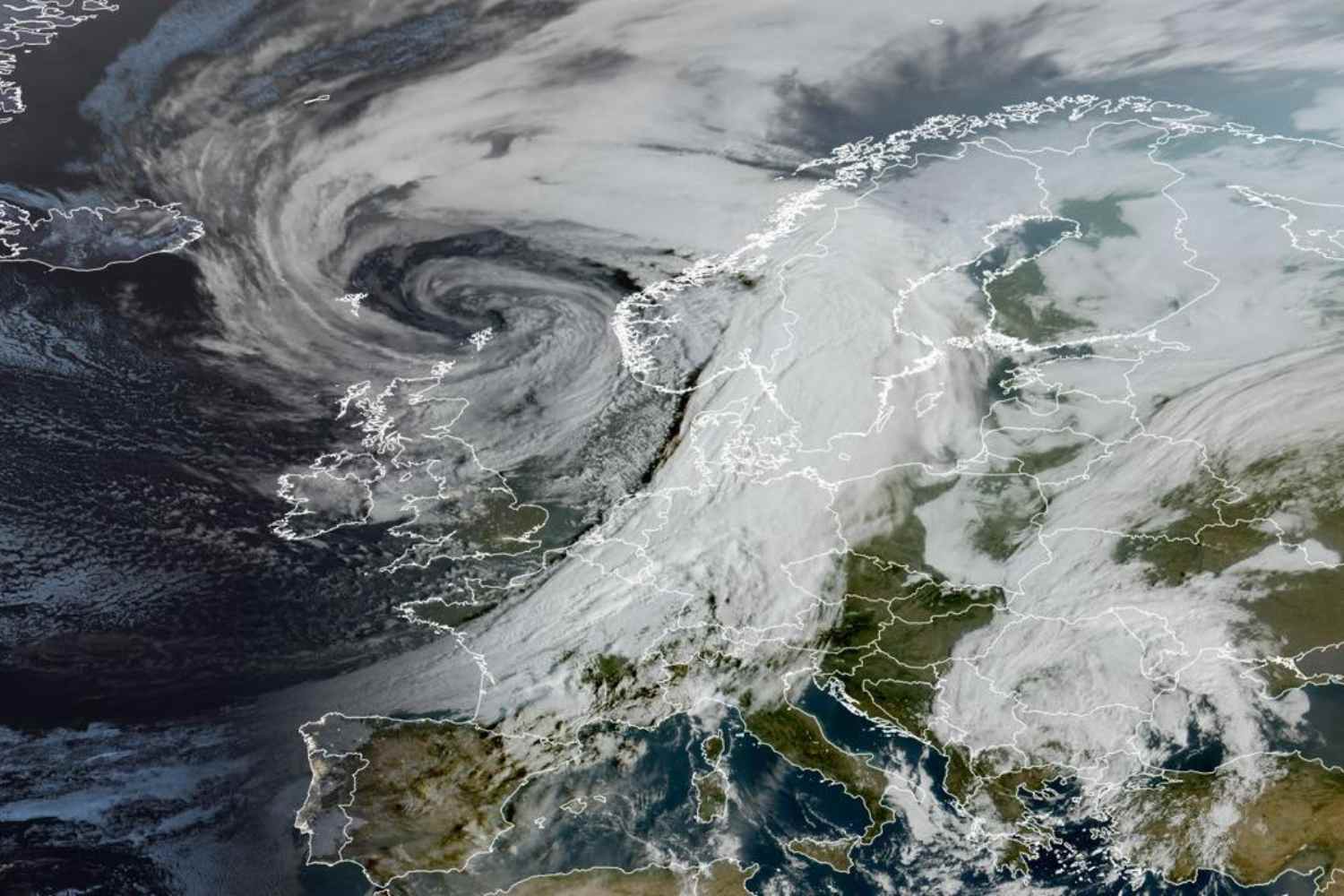 Tempesta Amy