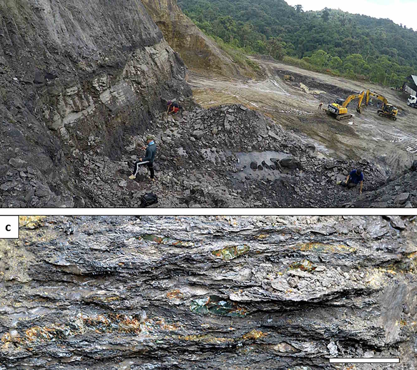 site de découverte de l'ambre
