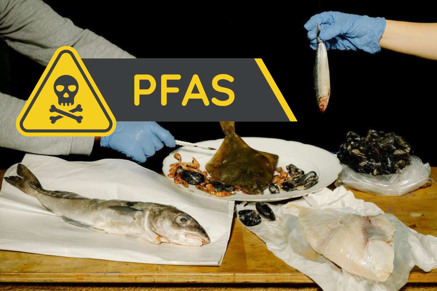 pfas pesci