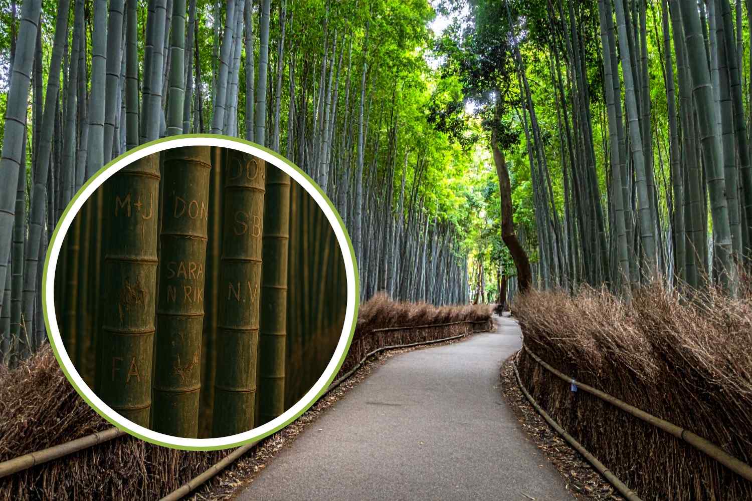 kyoto graffiti bambù