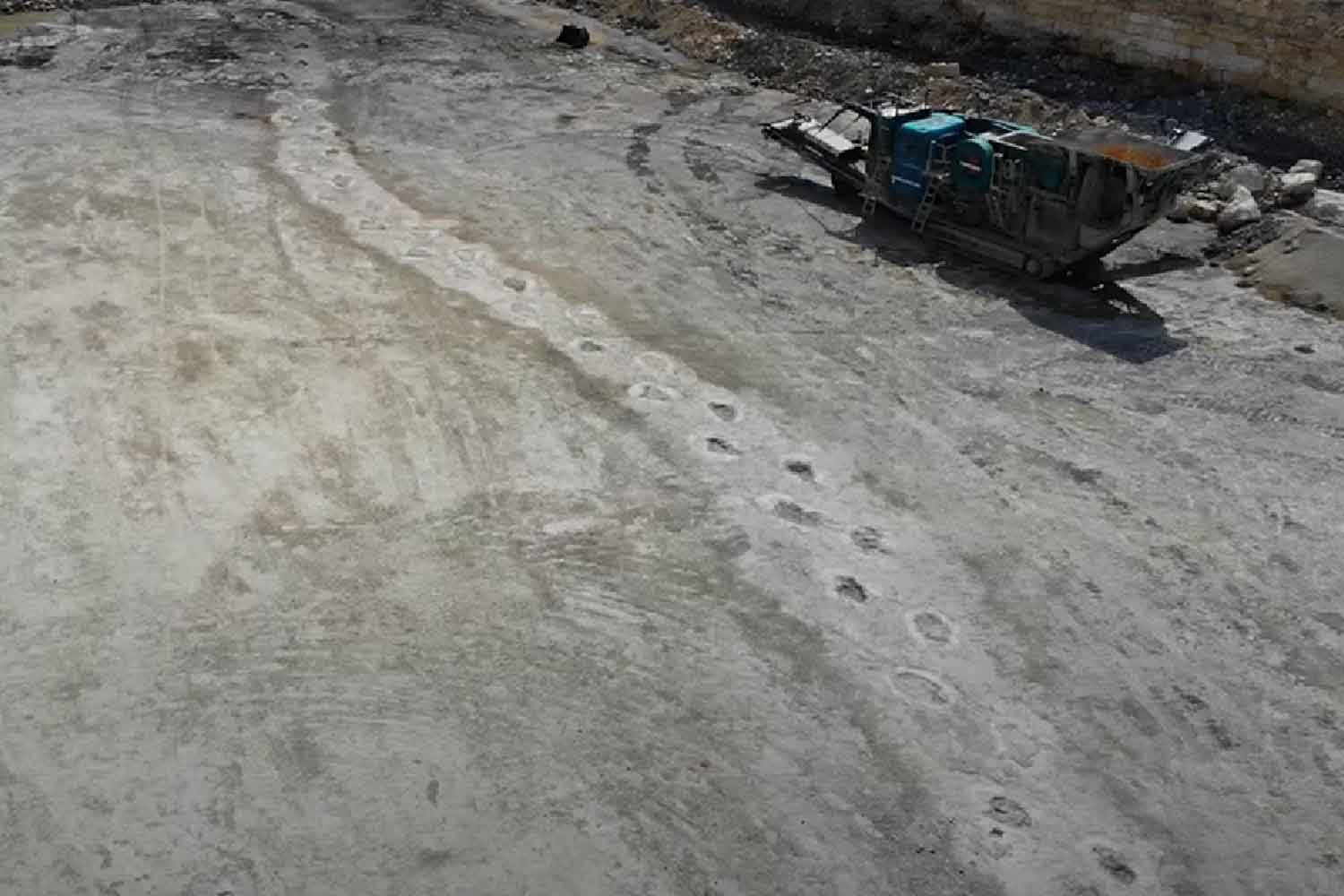 impronte di dinosauro