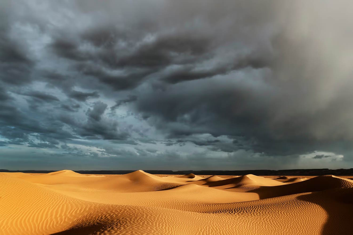 pioggia nel sahara entro il 21esimo secolo