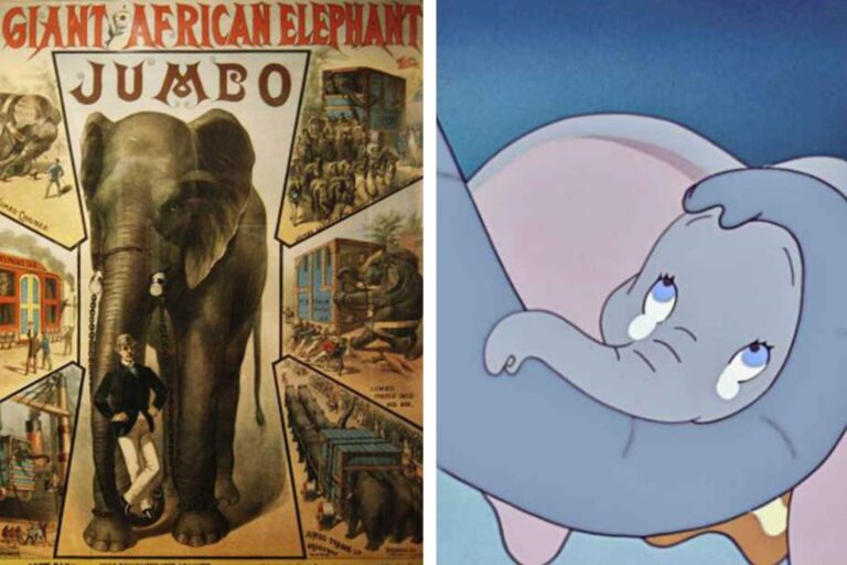 Connaissez-vous l'histoire vraie de Dumbo qui a inspiré le chef-d'œuvre de Disney ? Il n'y a pas de fin heureuse