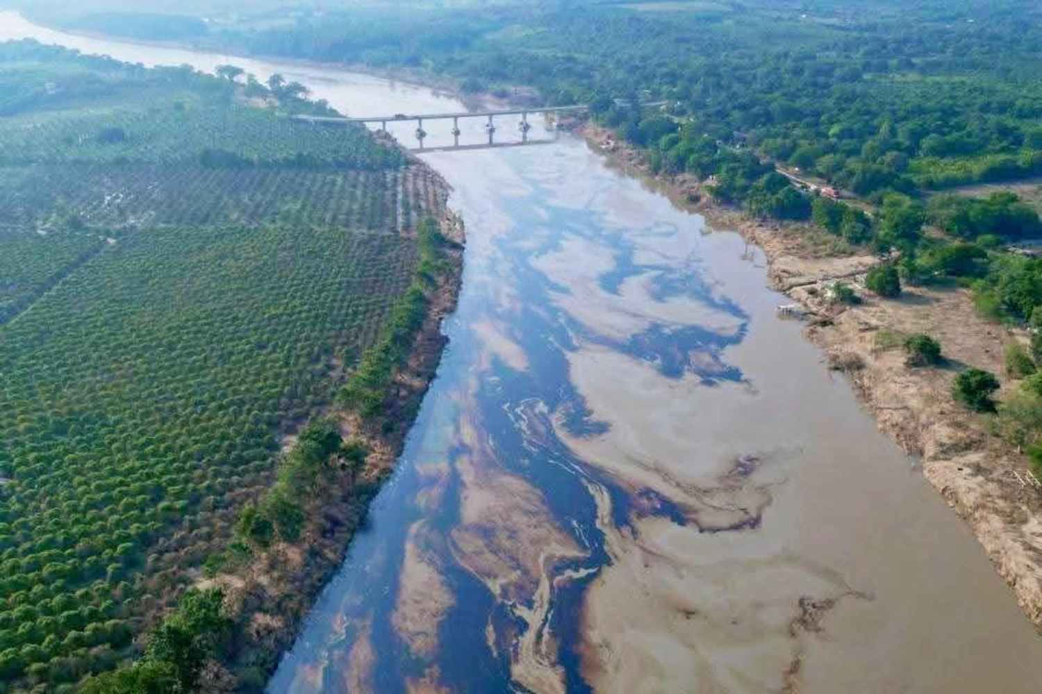 inquinamento petrolio Messico