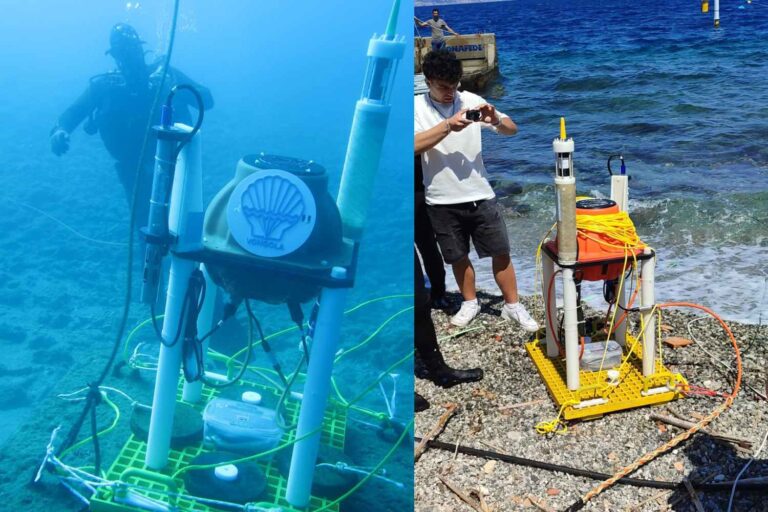 Vongola est l'oreille high-tech qui écoute les secrets de la mer en Sicile (pour sauver la biodiversité)