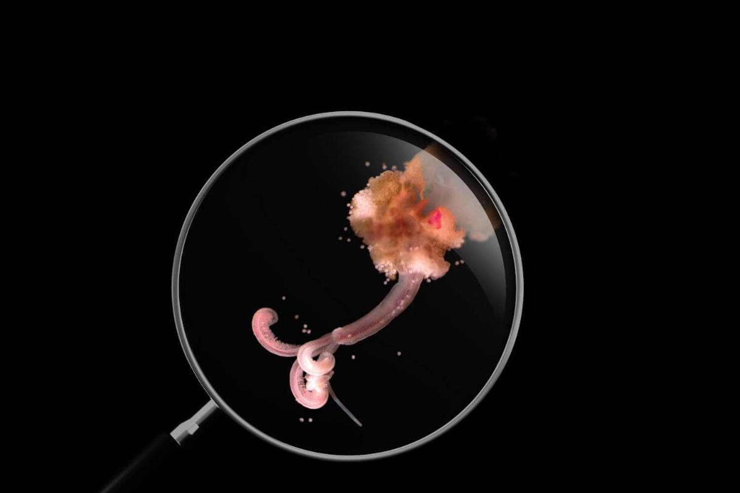 vermi zombie scomparsa cambiamenti climatici