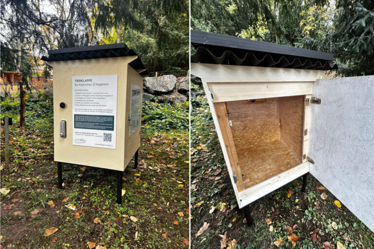 Le premier bac à litière pour animaux abandonnés a été installé en Suisse: il accueille les lapins et hamsters dont plus personne ne veut