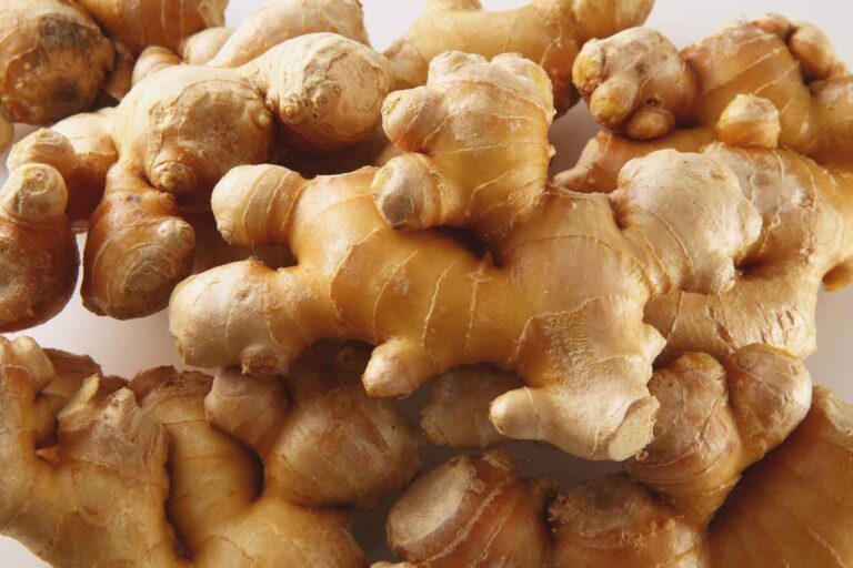 Le gingembre italien, l'alternative zéro kilomètre au rhizome exotique le plus apprécié (que vous pouvez également cultiver)