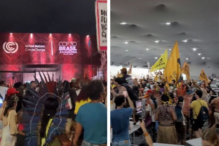 « Nous ne pouvons pas manger d'argent, nos terres ne sont pas à vendre » : protestation indigène à la COP30