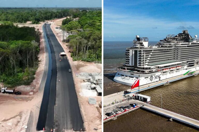 Méga autoroute dans la forêt tropicale et bateaux de croisière : l’Amazonie blessée au nom de la COP30