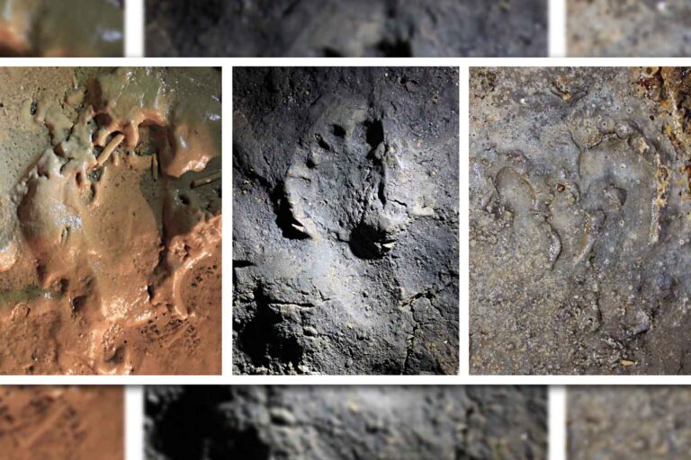 Le plus ancien cas de coexistence homme-chien découvert dans une grotte de Ligurie : les empreintes d'un lien vieux de 14 400 ans