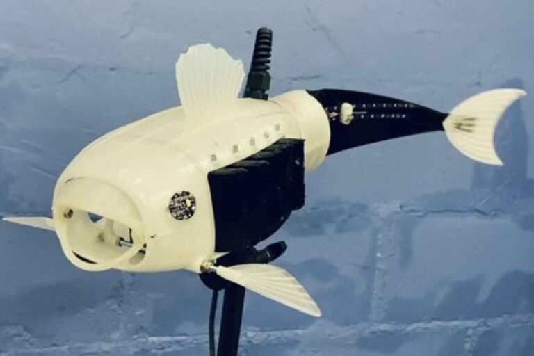 Le poisson robot créé par un étudiant qui nettoie l'eau des microplastiques avec une imprimante 3D