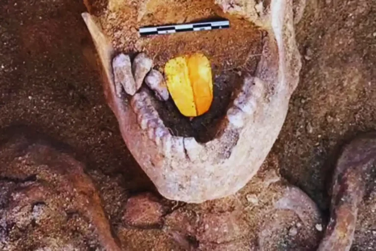 Une momie à la langue d'or retrouvée : le mystère qui réécrit l'Egypte ancienne