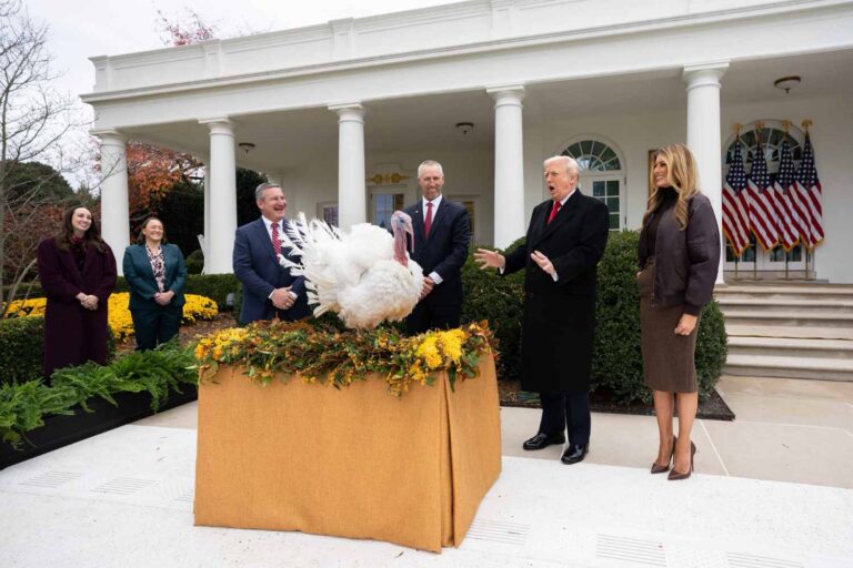 Trump sauve deux dindes pour Thanksgiving, mais plus de 46 millions seront tuées (pour finir dans l'assiette)