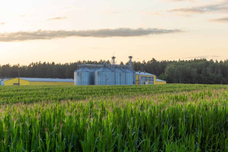 La Commission européenne présente la nouvelle stratégie pour la bioéconomie : 2 700 milliards d'euros et 17 millions d'emplois