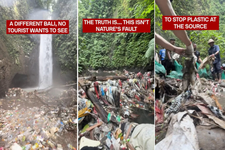 Cascades de déchets : la crise des déchets à Bali est hors de contrôle, mais ces jeunes militants font la différence