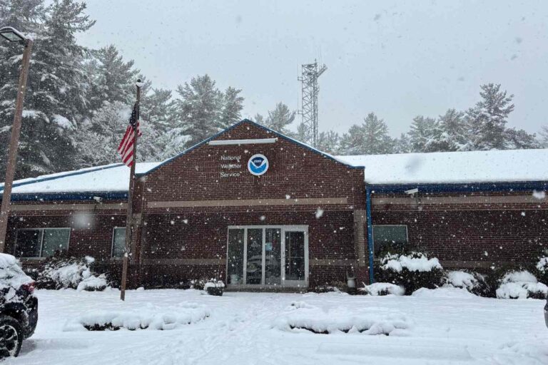 New York sous la première grosse chute de neige de l'année : les images de la Big Apple blanchie à la chaux sont une pure émotion