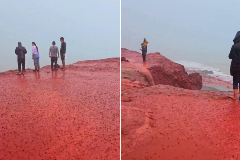 La plage iranienne devient rouge après la pluie : on dirait du sang mais il y a une explication scientifique