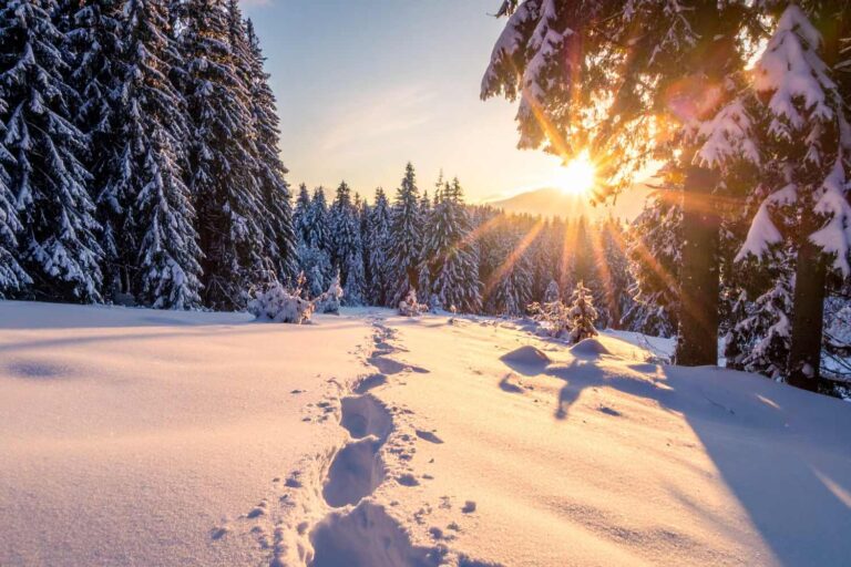 L'hiver arrive ! Voici quand aura lieu le solstice de 2025 (et pourquoi il ne tombe pas toujours le même jour)