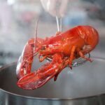Crabes et homards réagissent aux analgésiques : c'est la preuve qu'ils souffrent (et qu'il est temps de dire non à l'ébullition cruelle)