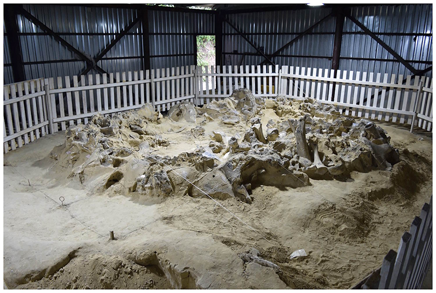 Abris de survie de la période glaciaire