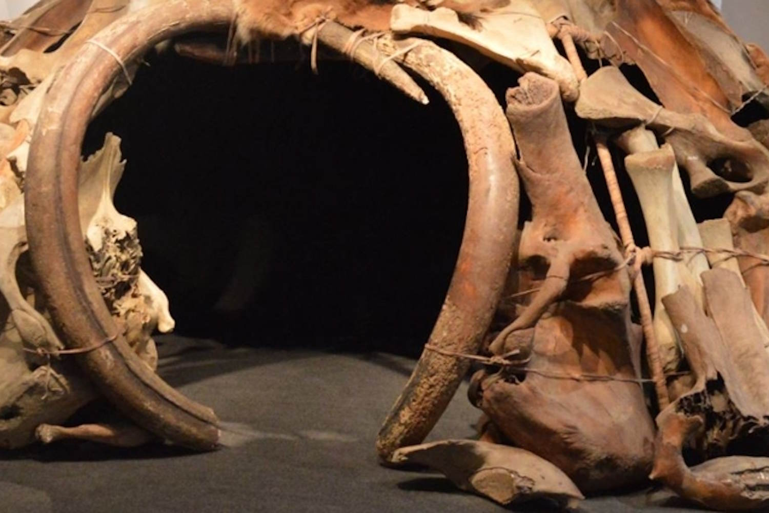 rifugi di sopravvivenza era glaciale